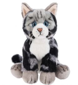 PELUCHE - COLLECTION HERITAGE - LE CHAT AMÉRICAIN À POIL COURT 12